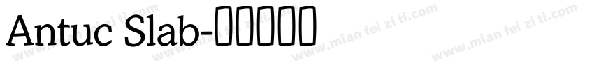 Antuc Slab字体转换